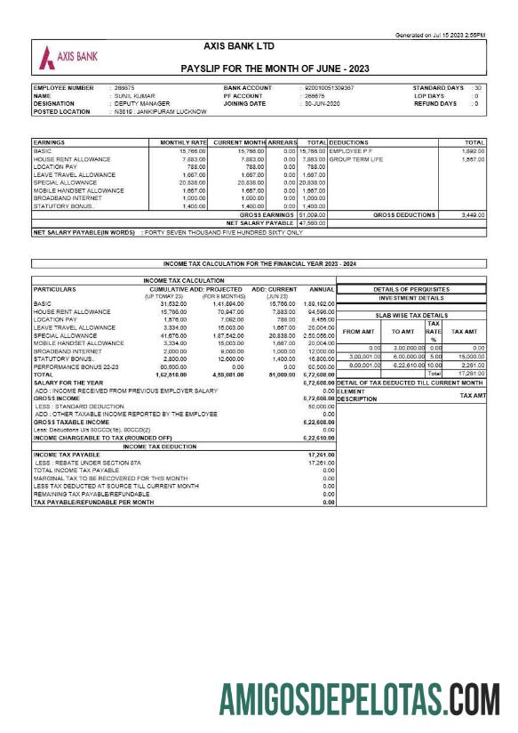 Premium Axis bank payslip templat in Word and PDF format.PDF, 1