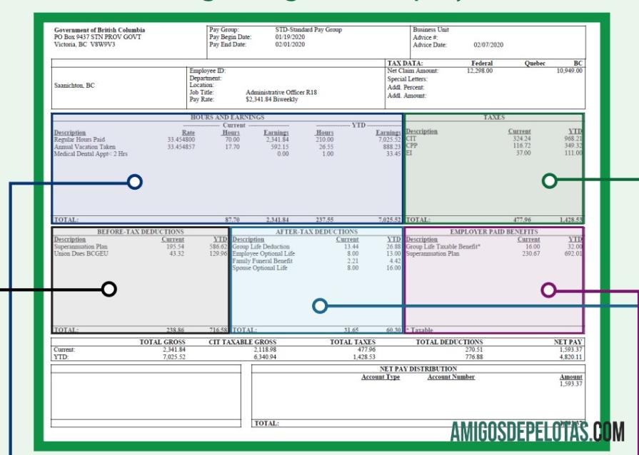 Profesional BARGAINING UNIT employee pay stub Word and PDF templat