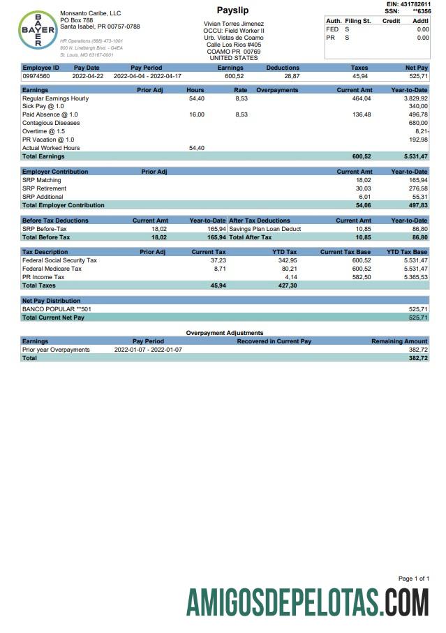 BAYER Paystub 2022 templat
