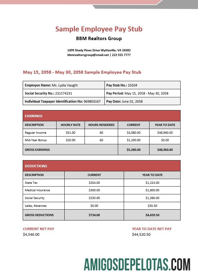 BBM realtors group employee pay stub in PDF and Word format makering