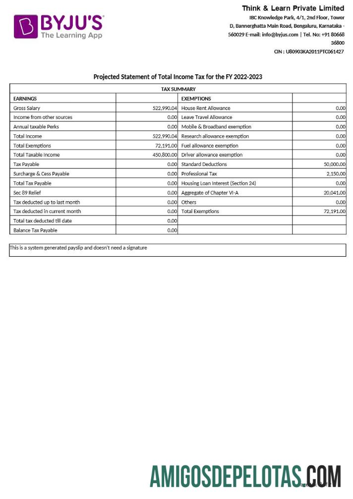 Profesional BYJU s learning app payslip templat in Word and PDF format.PDF, 2