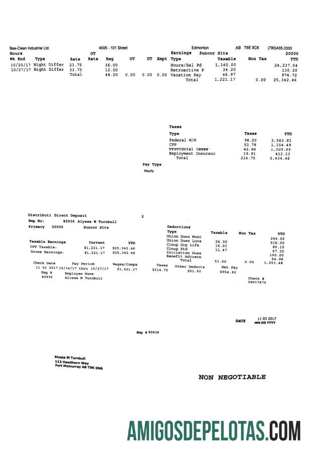 Bee Clean Industrial Ltd. PayStub desain