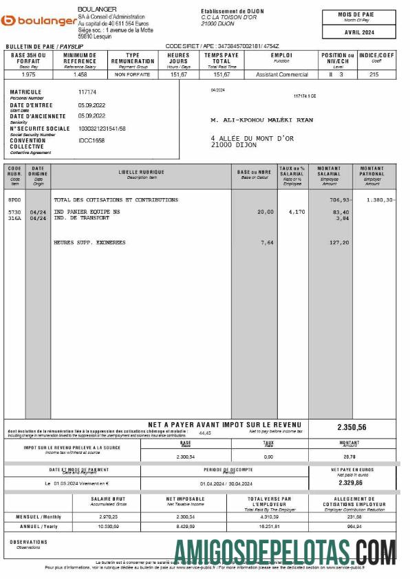 Berkualitas Boulanger payslip (in French language) templat in Word and PDF format.PDF, 2