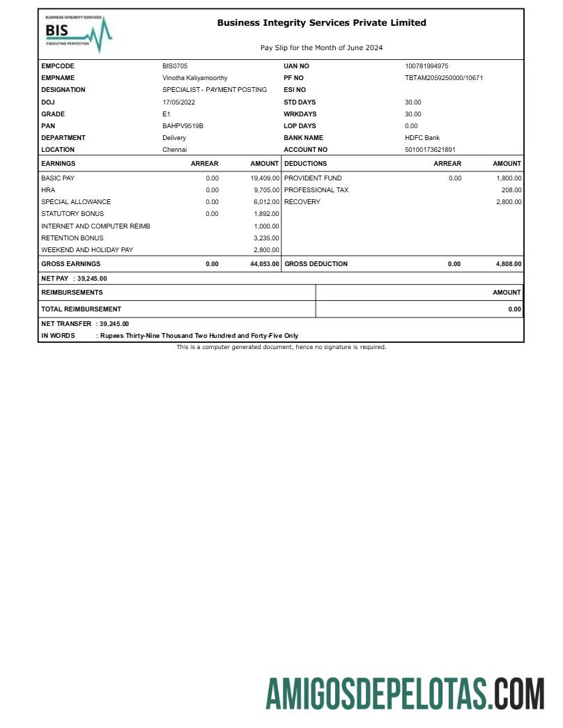 Dapat Diedit bisnis Integrity Services payslip templat in Word and PDF format.PDF, 1