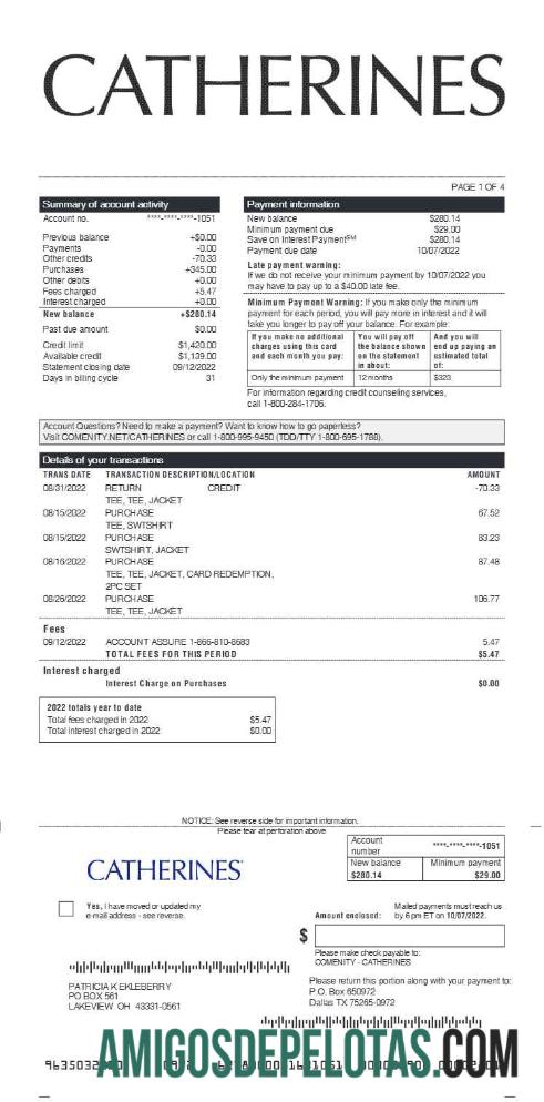 Realistis CATHERINES earnings laporan templat in Word and PDF format.PDF, 1