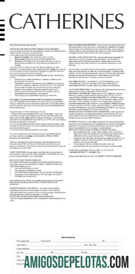 Dapat Diedit CATHERINES earnings laporan templat in Word and PDF format.PDF, 2
