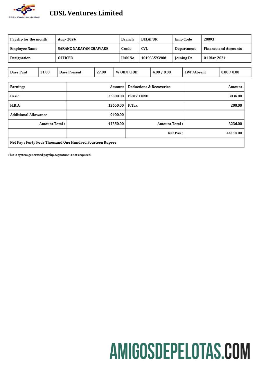 Profesional CDSL Ventures Limited payslip templat in Word and PDF format.PDF, 1