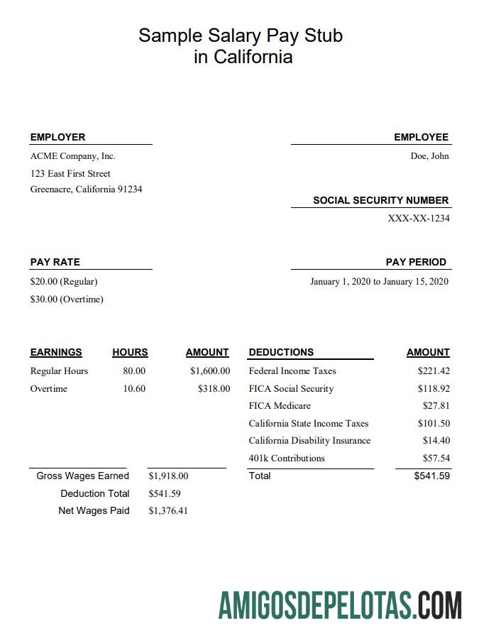 Premium California salary pay stub Word and PDF templat
