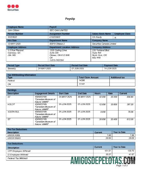 Berkualitas Kanada Online Payslip Word and PDF templat
