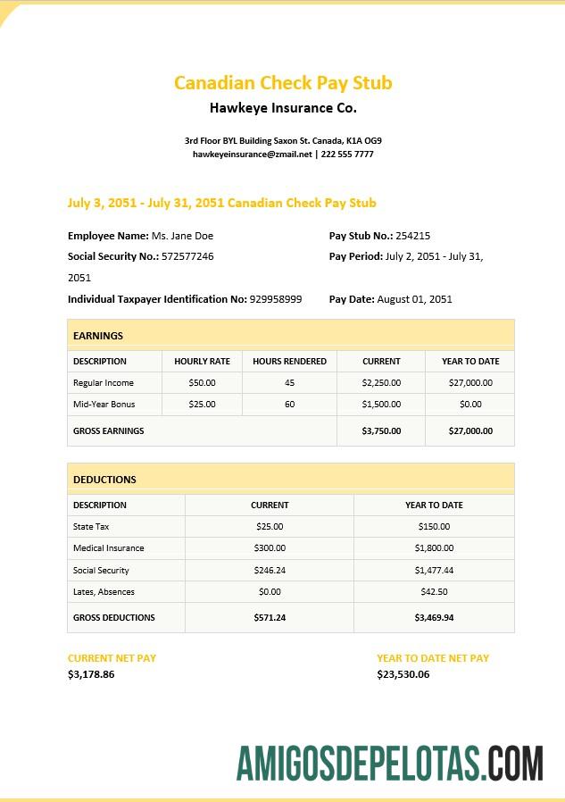 Profesional Canadian Check Pay Stub templat