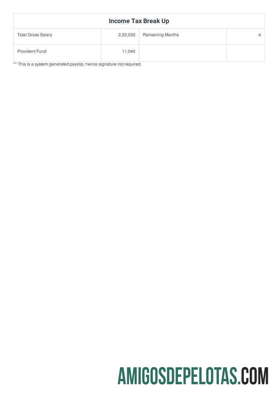 Premium CarDekho payslip templat in Word and PDF format.PDF, 2