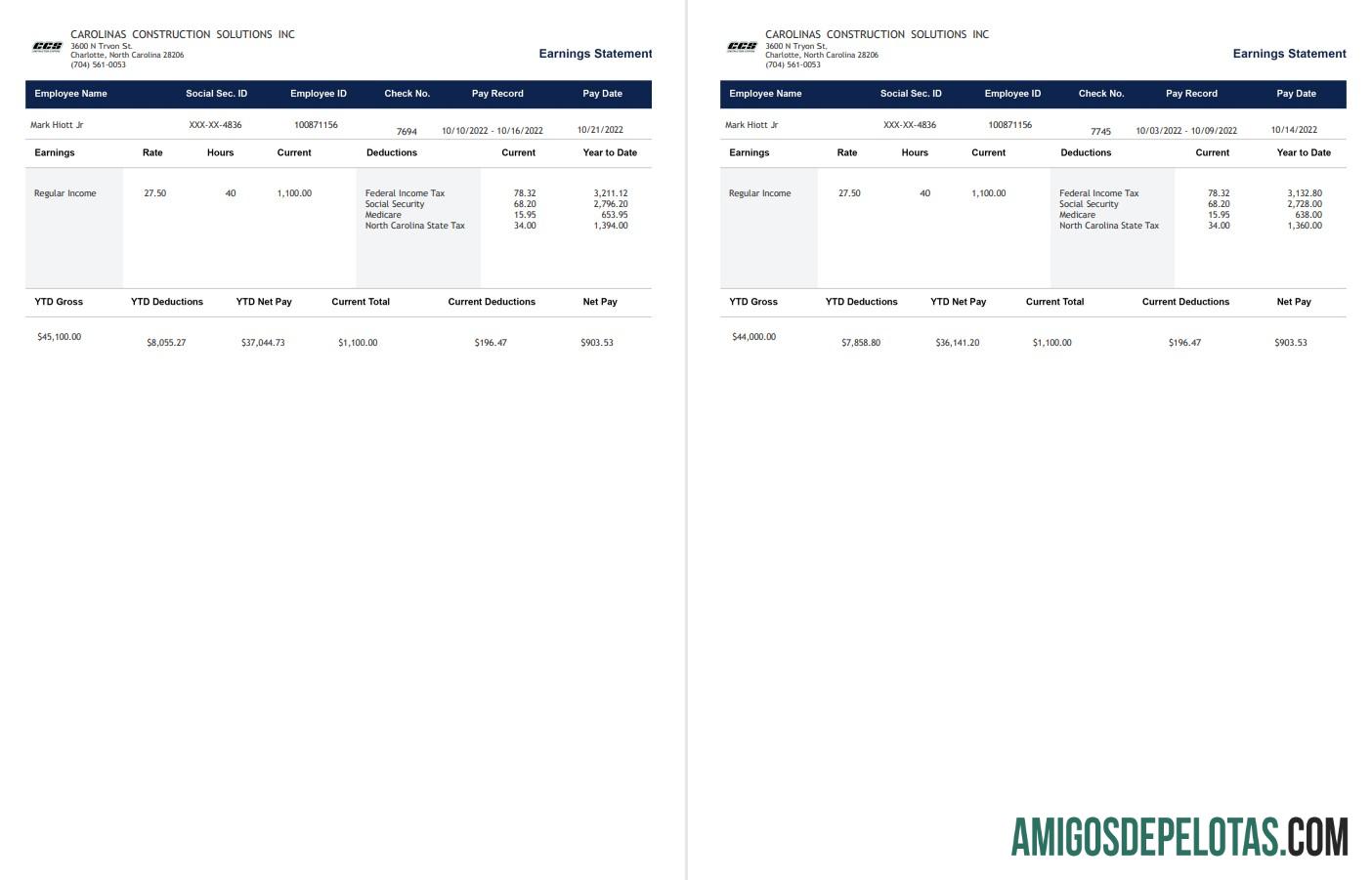 Carolinas Construction Solutions Paystub desain