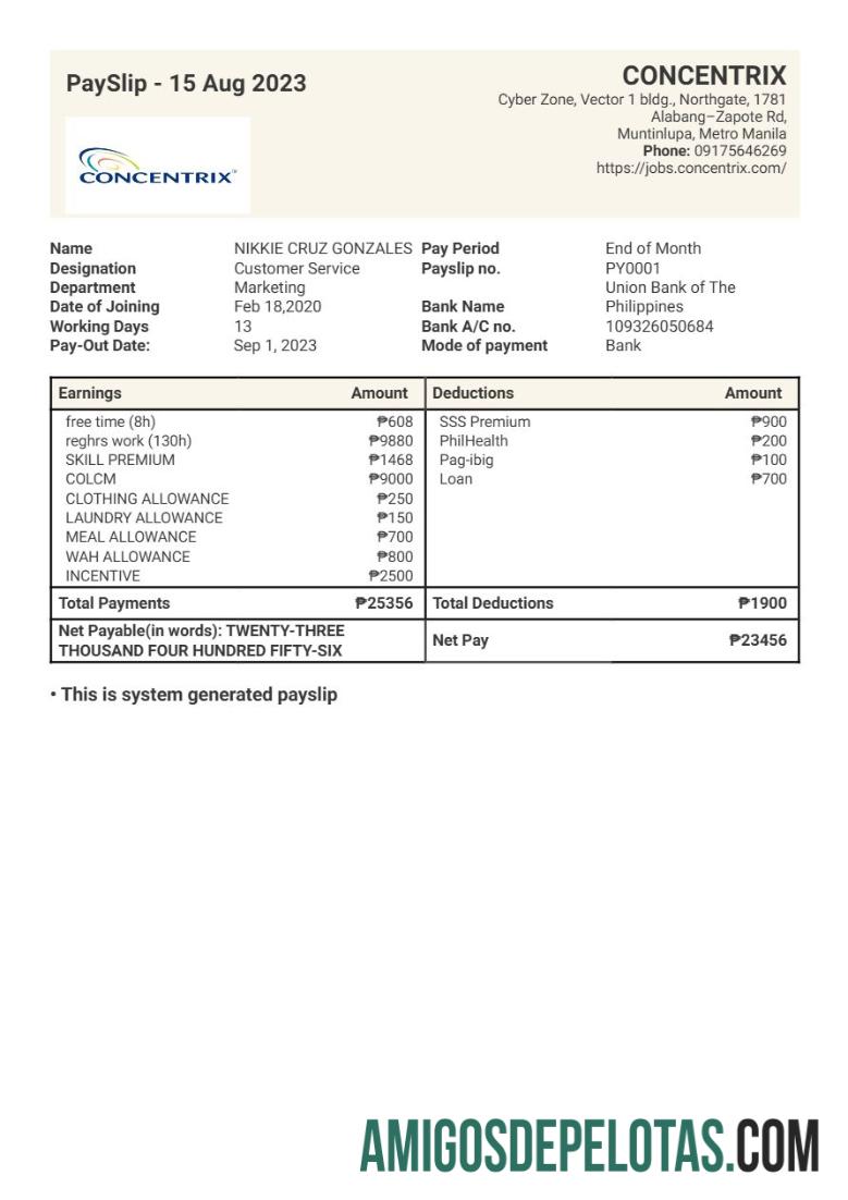 Profesional Concentrix Teknologi and services payslip templat in Word and PDF format.PDF, 1