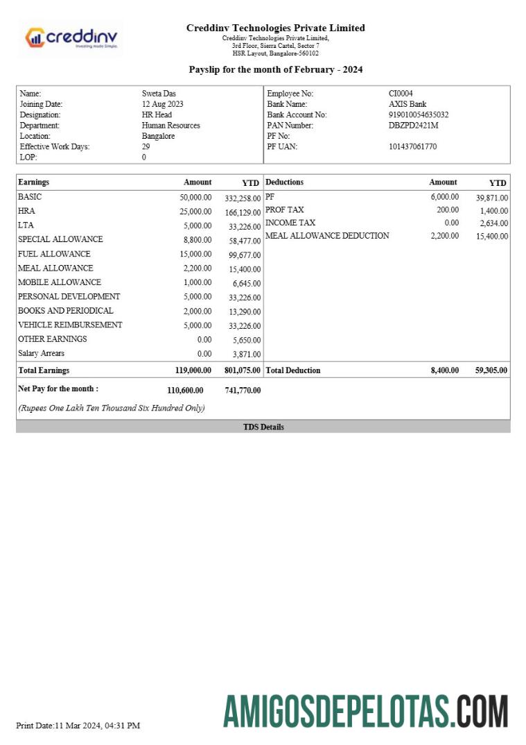 Realistis Creddinv Technologies payslip templat in Word and PDF format.PDF, 1