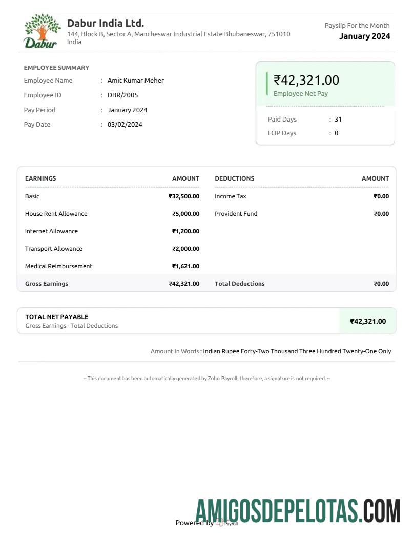 Dapat Diedit Dabur India Barang Perusahaan payslip templat in Word and PDF format.PDF, 1