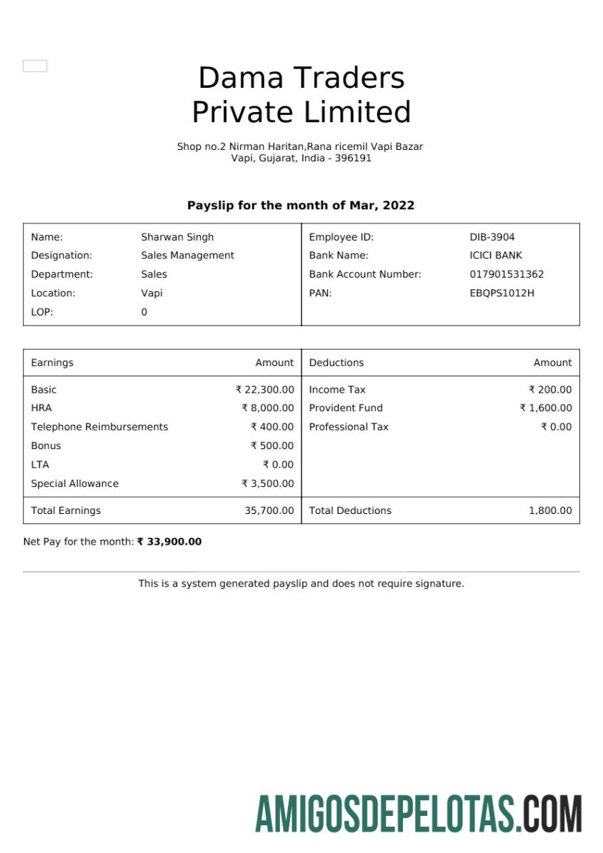 Realistis Dama Traders payslip templat in Word and PDF format.PDF, 1