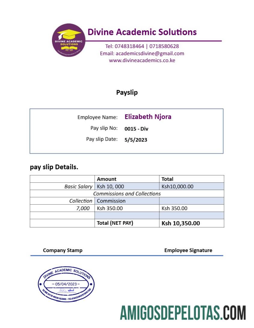 Berkualitas Divine Academic Solutions payslip templat in Word and PDF format.PDF, 1