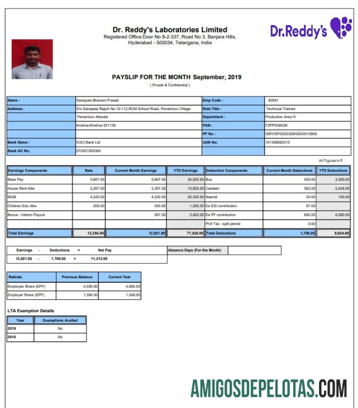Dr. Reddy's Laboratories Limited pay stub in PDF and Word format desain