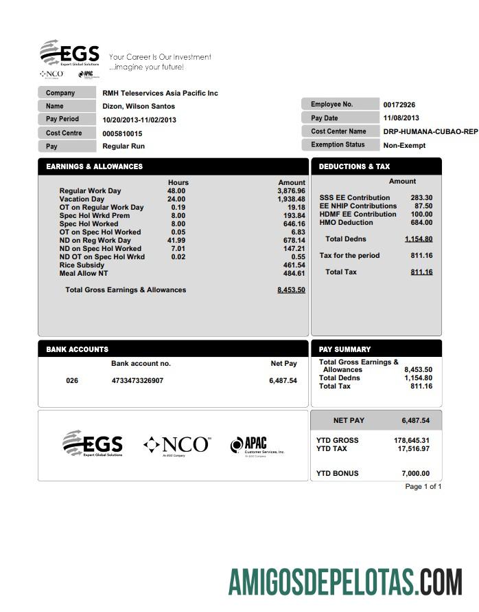 EXPERT GLOBAL SOLUTIONS Perusahaan pay stub in PDF and Word format desain