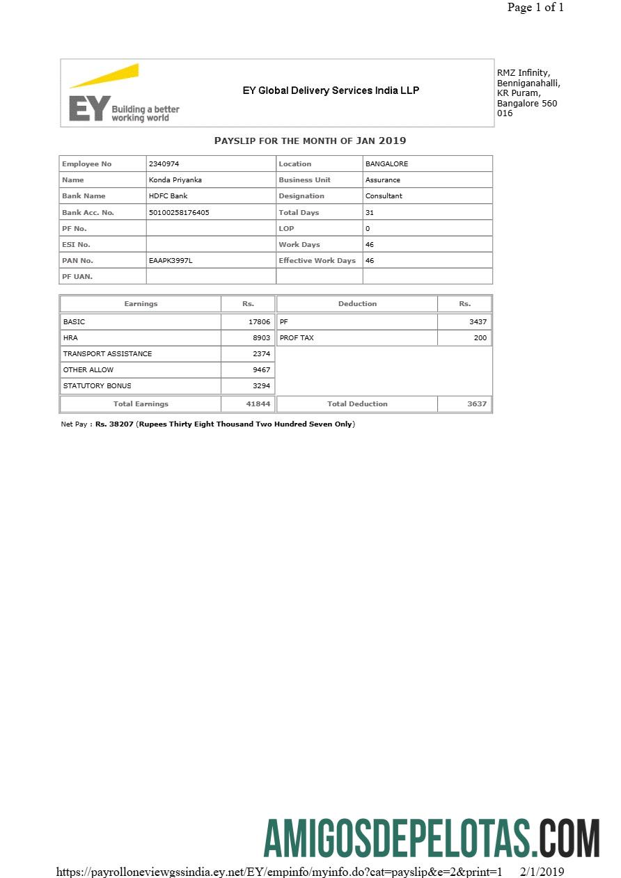 Premium EY Global Pengiriman Services payslip templat in Word and PDF format.PDF, 1