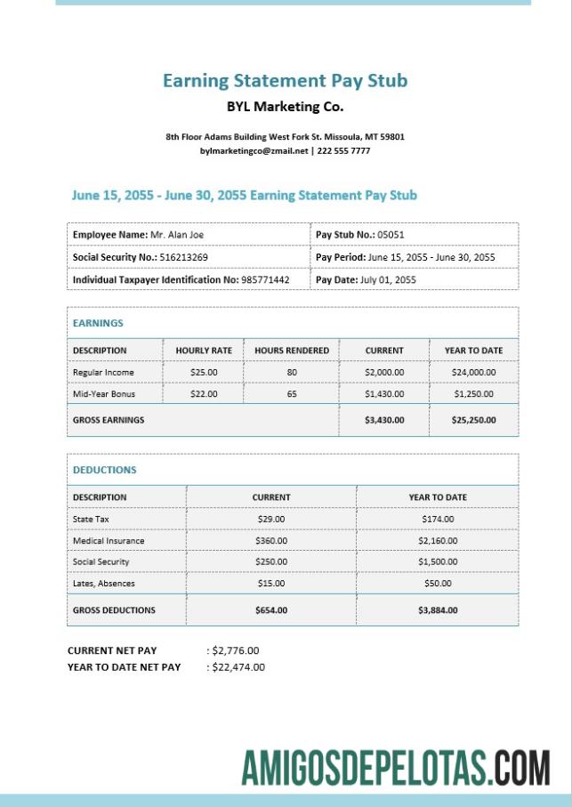 Dapat Diedit Earning laporan Pay Stub templat