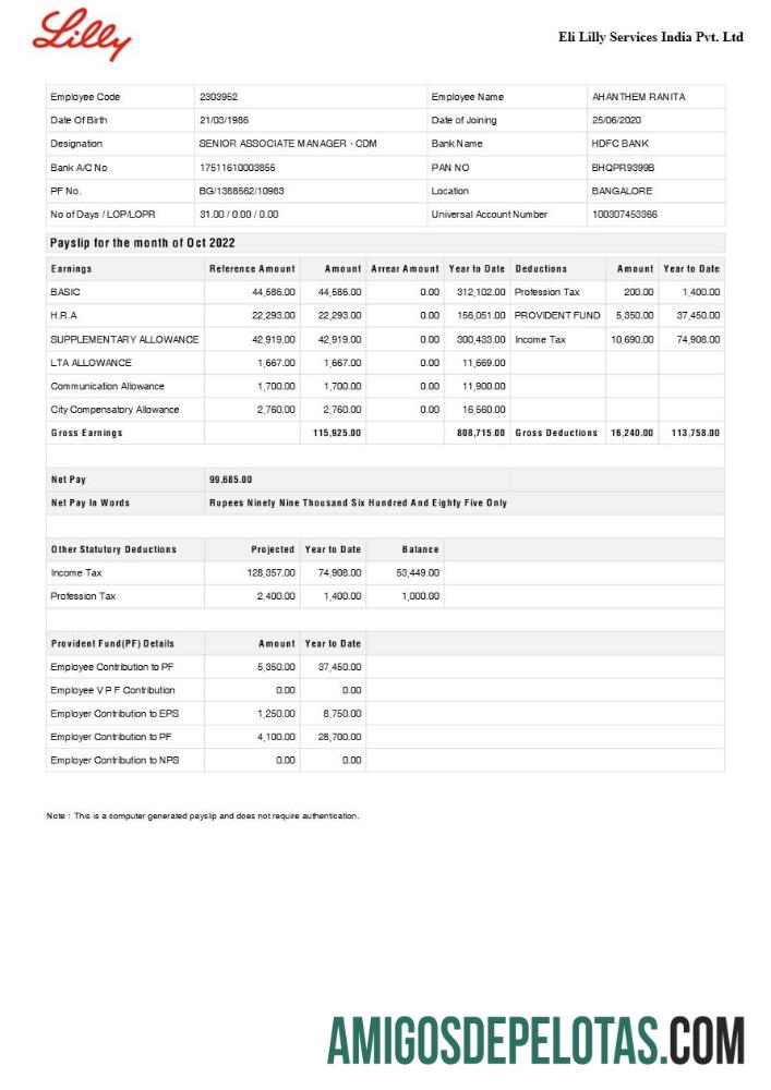 Profesional Eli Lilly Services India pharmaceutical Perusahaan payslip templat in Word and PDF format.PDF, 1