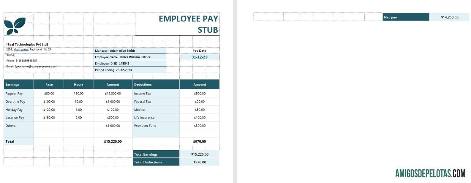 Realistis Employee Pay Stub templat