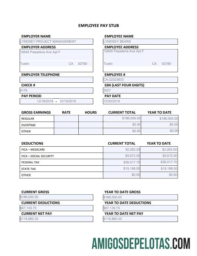 Employee Paystub Edited pratinjau