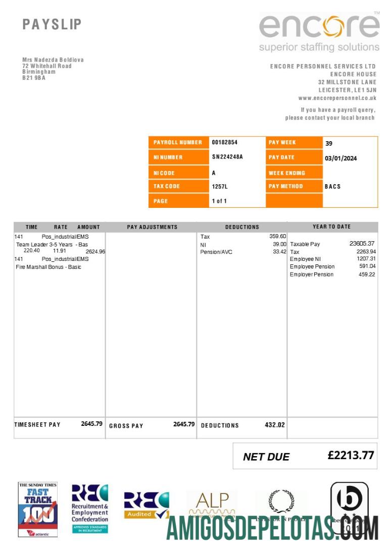 Profesional Encore Personnel Services (recruitment) payslip templat in Word and PDF format.PDF, 1