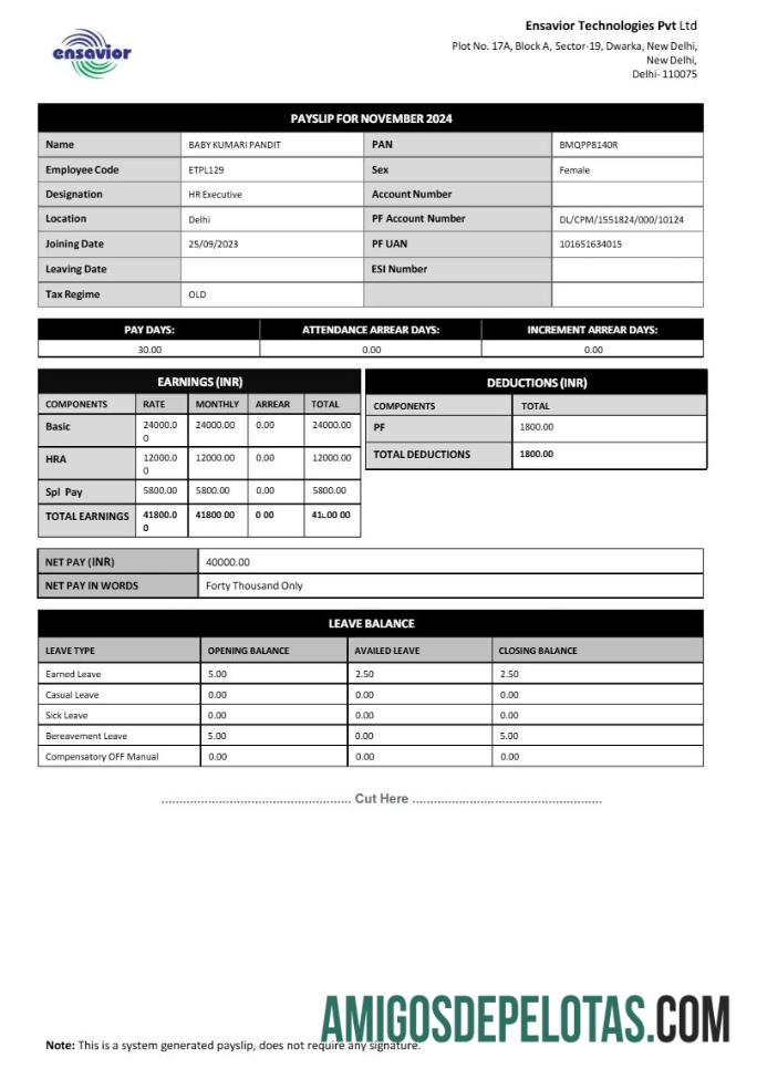 Profesional Ensavior Technologies payslip templat in Word and PDF format.PDF, 1