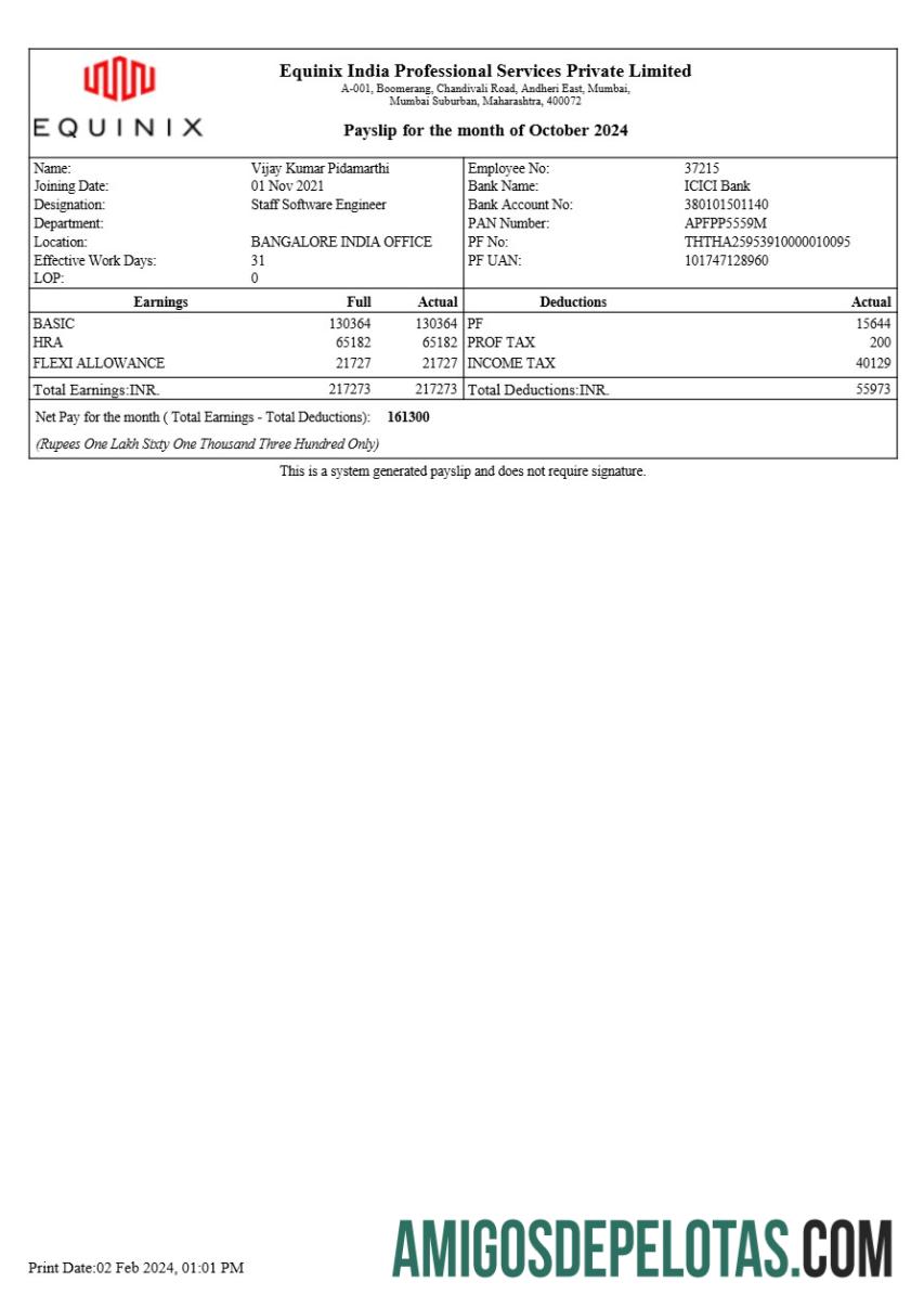 Profesional Equinix India Profesional Services payslip templat in Word and PDF format.PDF, 1