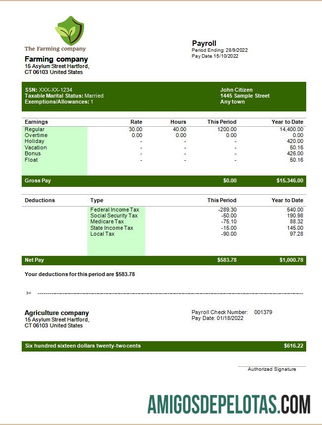 Profesional Farming Perusahaan Dapat Diedit earning laporan templat in Word and PDF format
