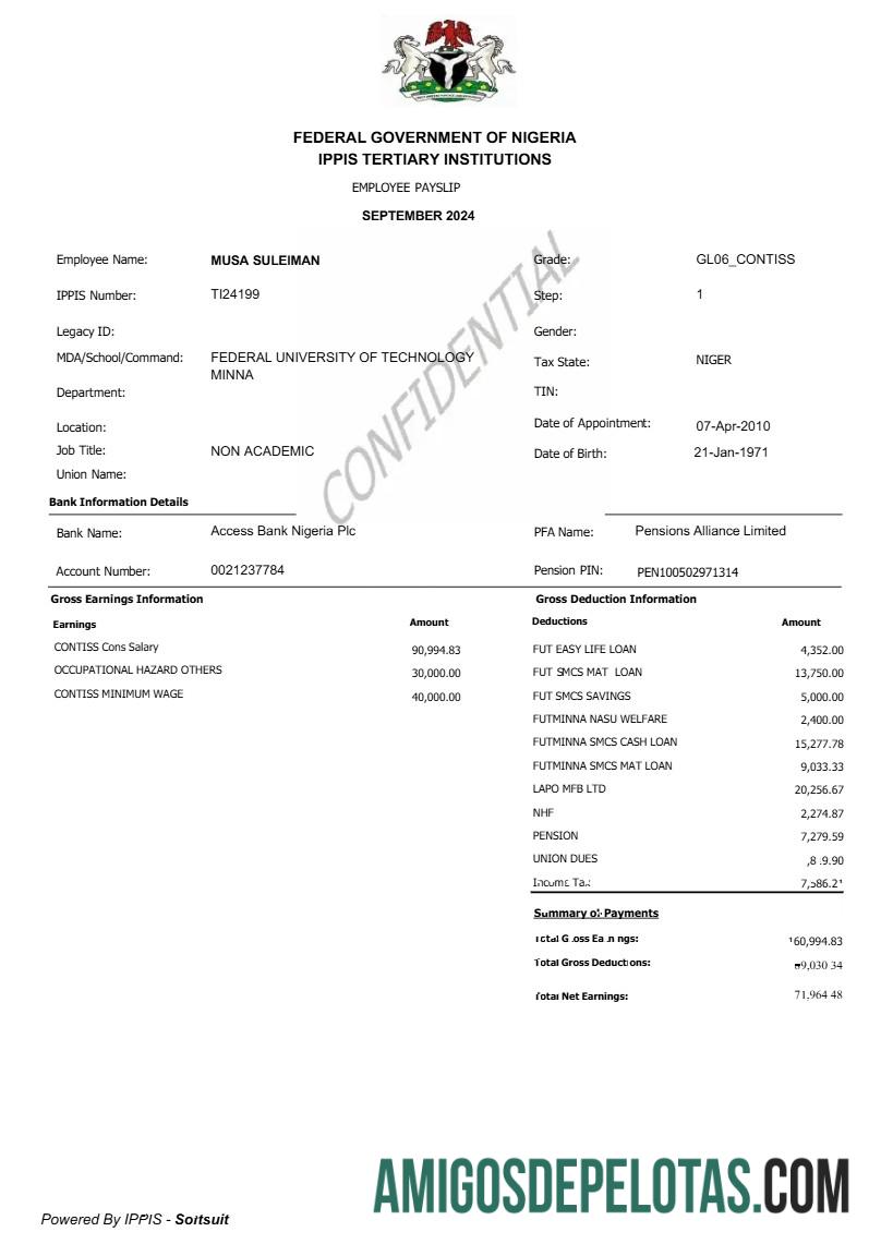 Profesional Federal Government of Nigeria employee payslip templat in Word and PDF format.PDF, 1
