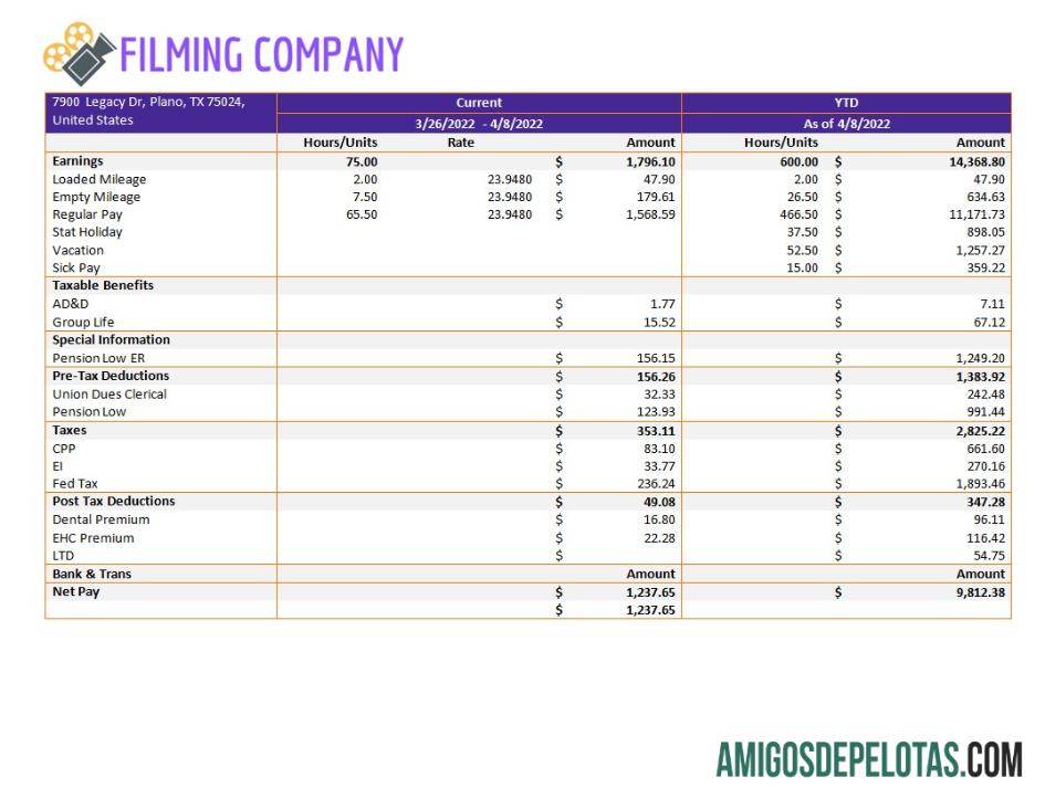 Realistis Filming Perusahaan pay stub templat in Word and PDF format