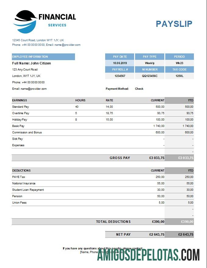 Berkualitas Financical services payslip templat in Excel and PDF format
