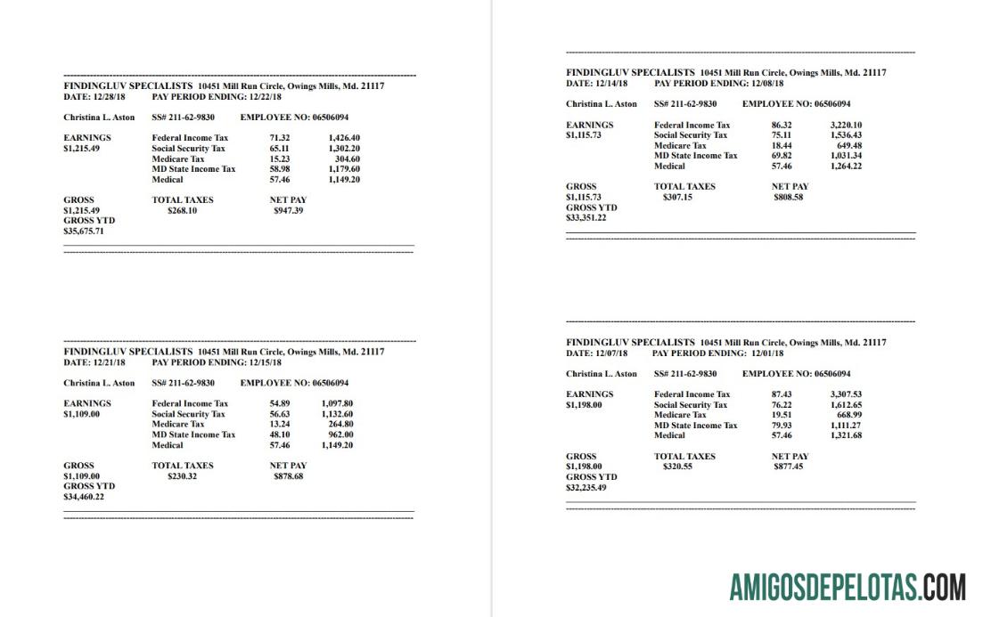 Findingluv specialits Perusahaan pay stub in PDF and Word format sampel