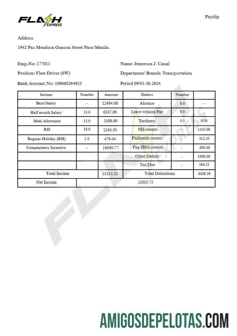 Profesional Flash Express Co. payslip templat in Word and PDF format.PDF, 2