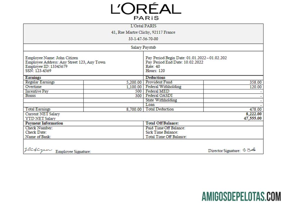 Prancis Loreal Paris cosmetic distributing Perusahaan templat