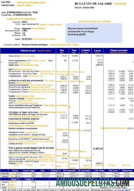 Profesional Prancis payslip (in French language) templat in Word and PDF format.PDF, 1