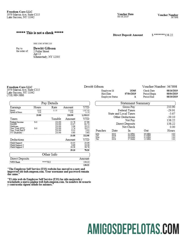 Profesional Freedom Care LLC pay stub templat in Word and PDF format.PDF, 1