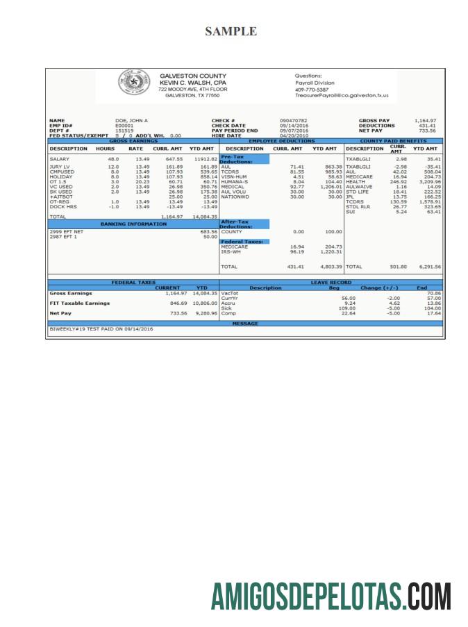Galveston County Payroll Check Stub desain