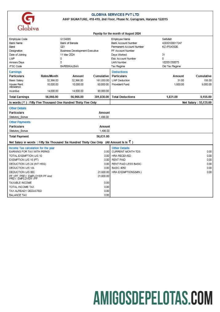 Realistis Globiva Services payslip templat in Word and PDF format.PDF, 1
