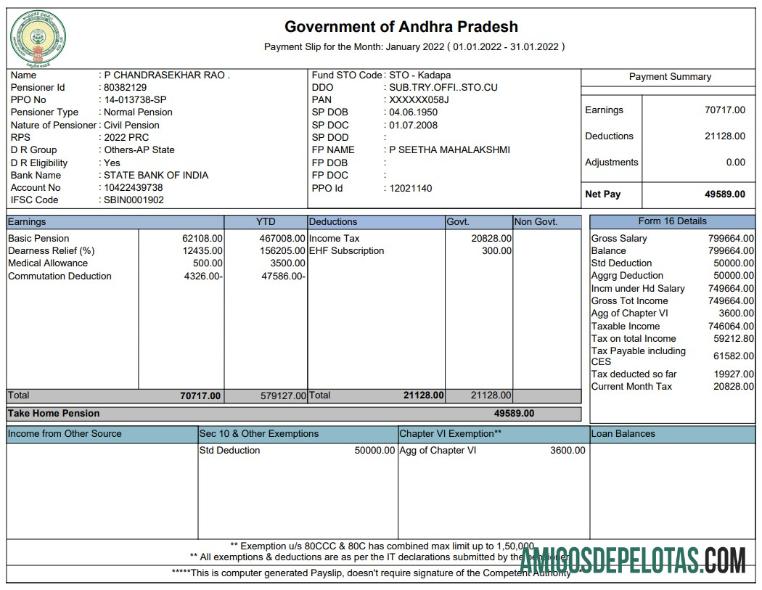Government of Andhra Pradesh Paystub sampel