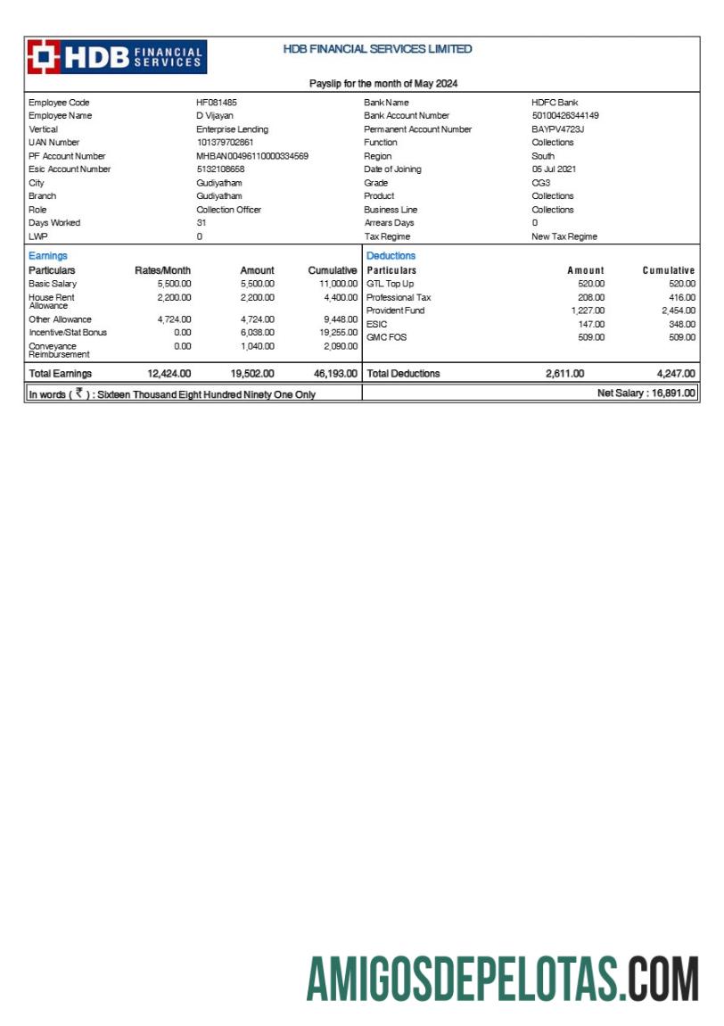 Berkualitas HDB Financial Services payslip templat in Word and PDF format.PDF, 1