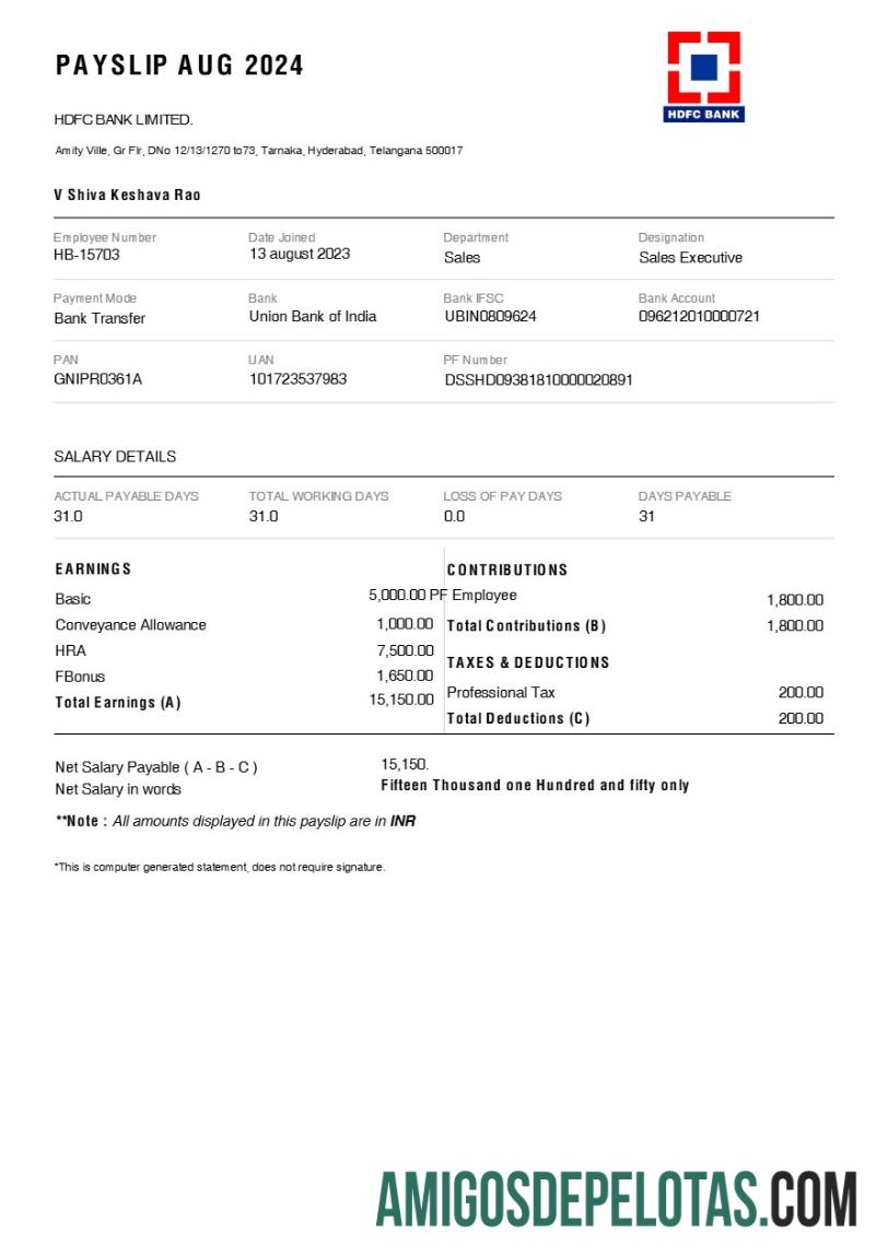 Berkualitas HDFC bank payslip templat in Word and PDF format.PDF, 1