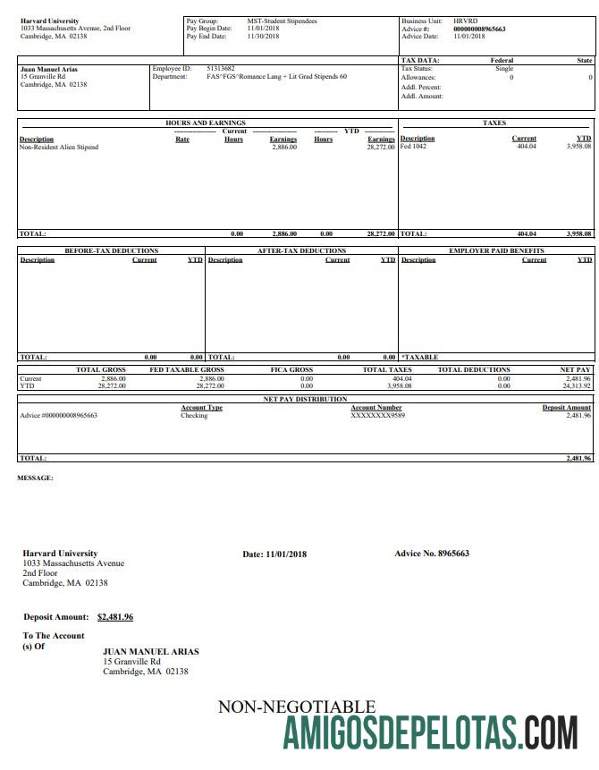 Harvard universitas pay stub in PDF and Word format desain