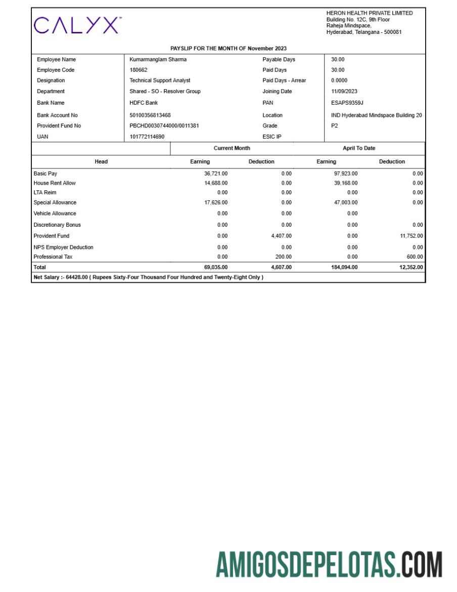 Profesional Heron kesehatan payslip templat in Word and PDF format.PDF, 1