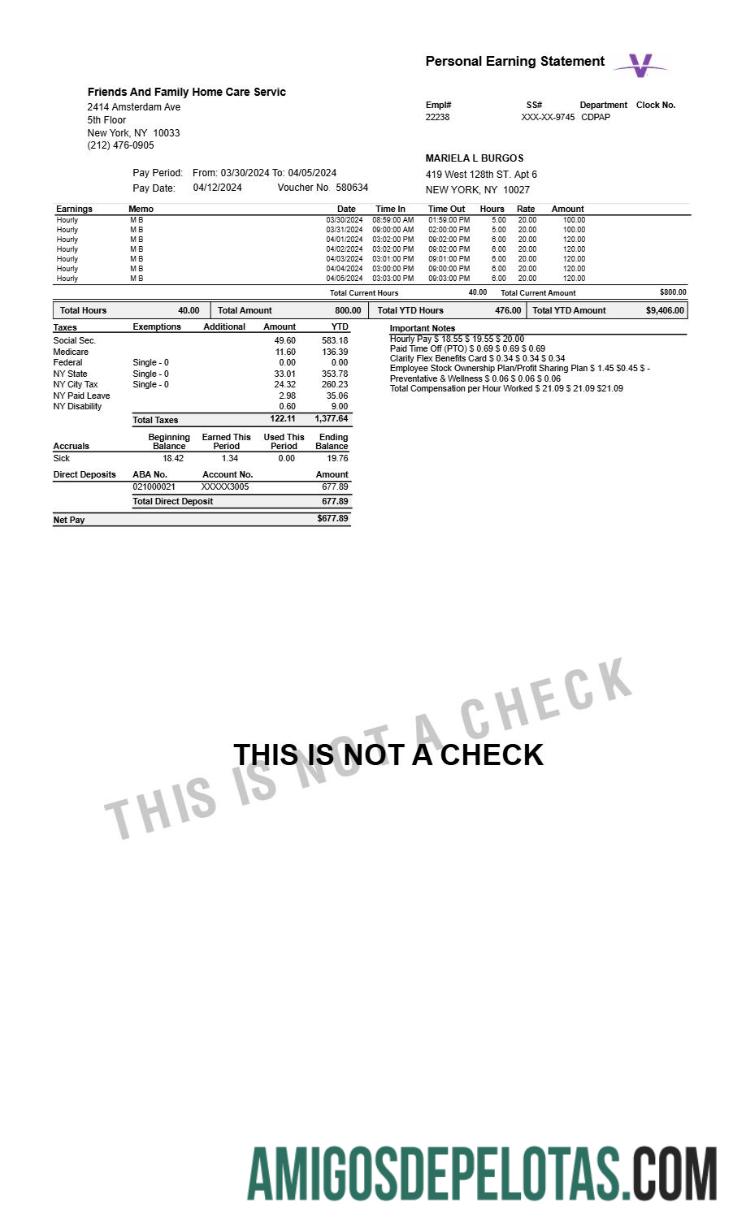 Profesional Home Care Servic personal earning laporan templat in Word and PDF format.PDF, 1