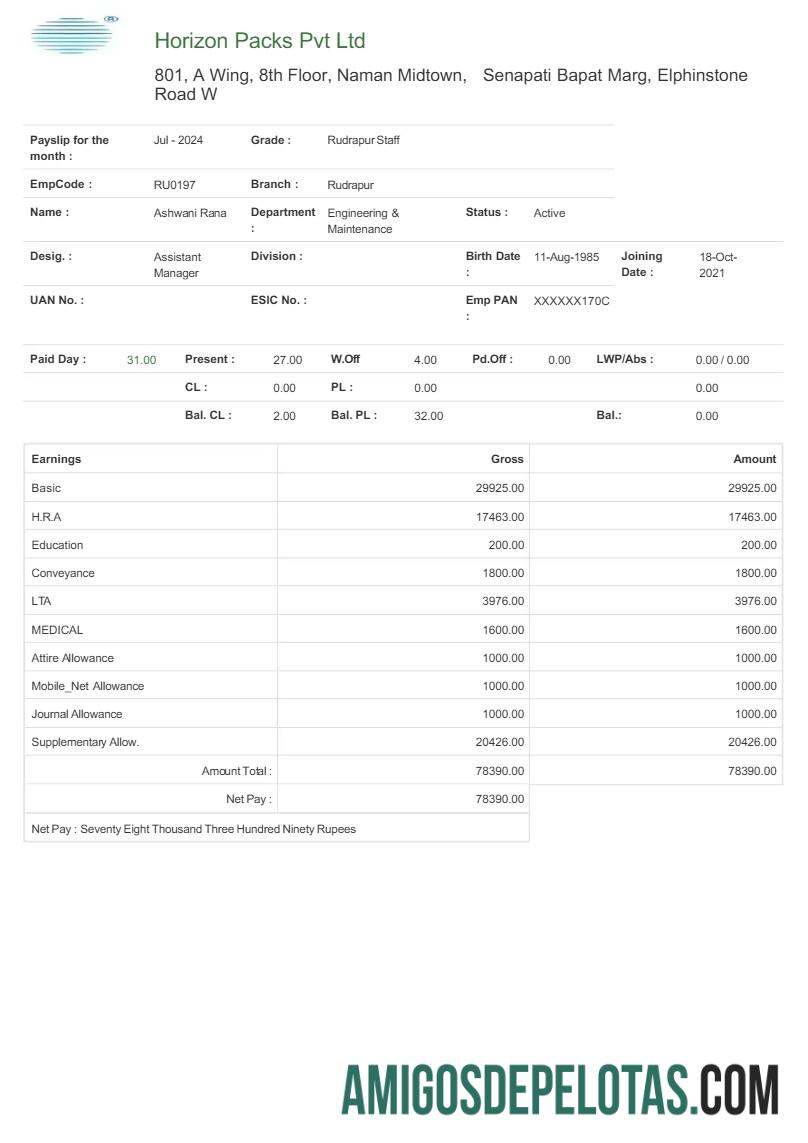 Profesional Horizon Packs payslip templat in Word and PDF format.PDF, 1
