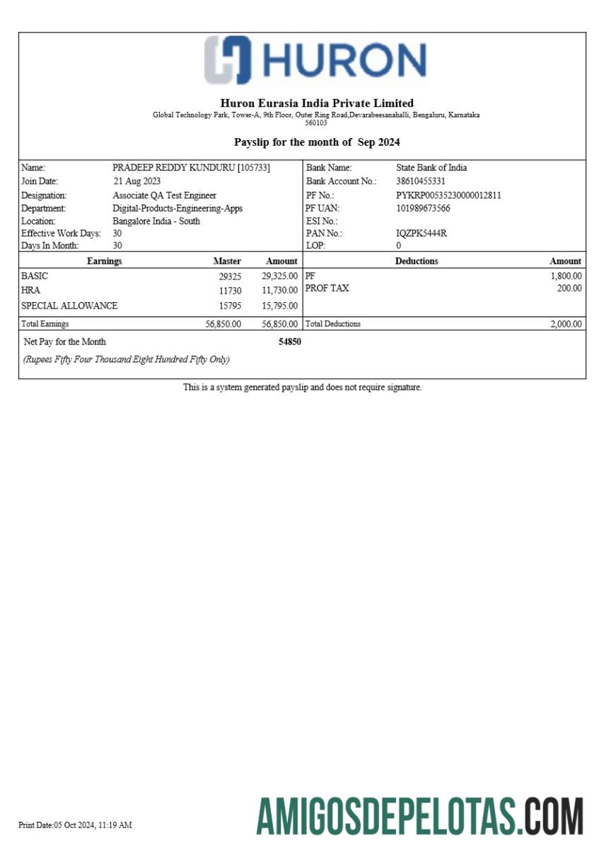 Realistis Huron Eurasia India payslip templat in Word and PDF format.PDF, 1